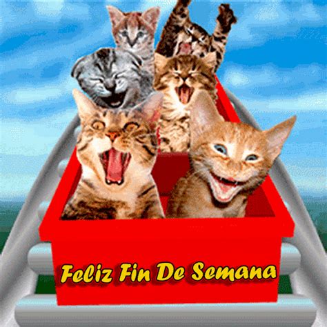 feliz fin de semana gif|feliz fin se semana meme.